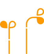 Creative Services Icon